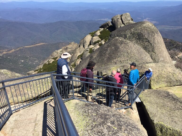 Landcare members looking at the impacts of the 2020 bushfire, the Horn, Mount Buffalo.